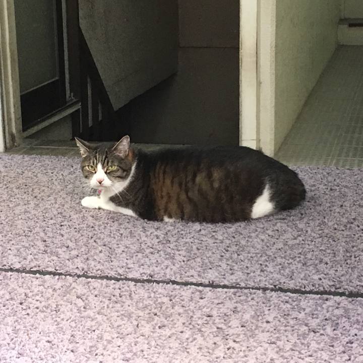 B86a3335 04d8 4d76 8398 d92f5de315bf 1530454759933