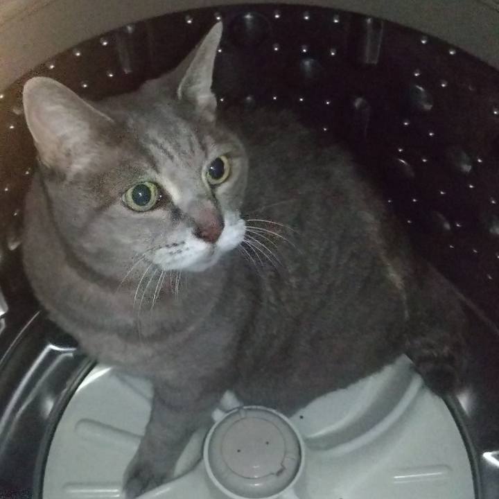 B86a357b 909f 4322 8124 0dd2aa35443d 1665313662942