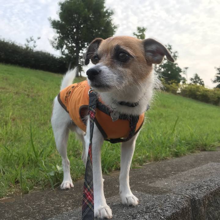 B86a489b c8a7 4999 926a f3ef11910ea8 1531861645536