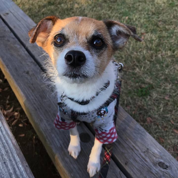 B86a48f8 04de 4d76 9b71 bba01d4acf2b 1542787873435