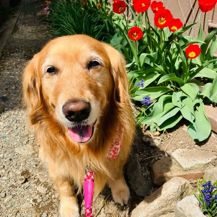 B86a7b98 9218 4d89 9c02 af9e1531464c 1742533218634