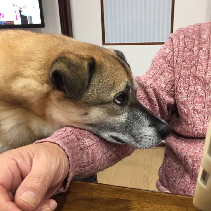 B86a8487 396f 4200 bbe7 2d99fef4e104 1516614453102