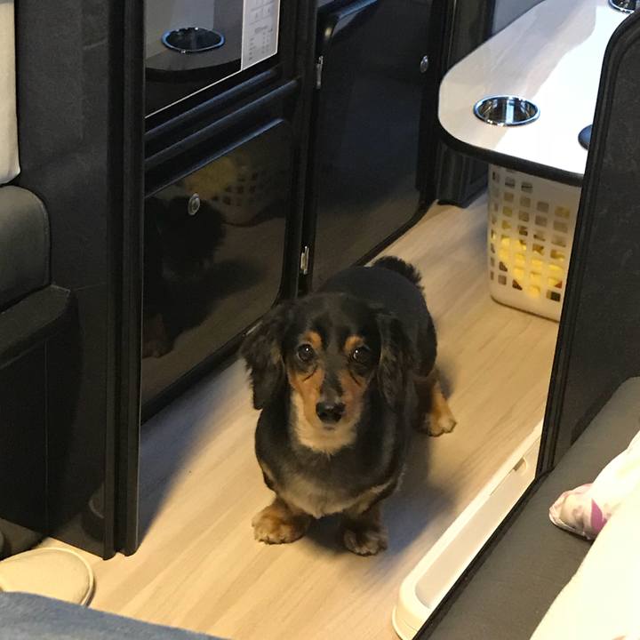 B86a97aa 1b40 48b0 8188 41bdfb79910a 1525389143833