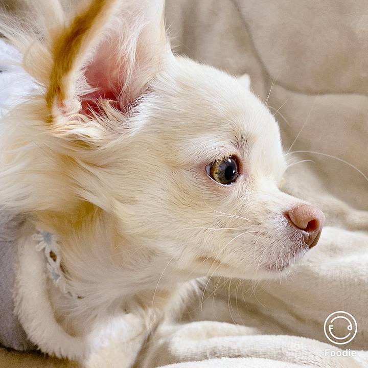 B86ae803 321d 4fc2 8fdd 479c6b941bc5 1606948562320