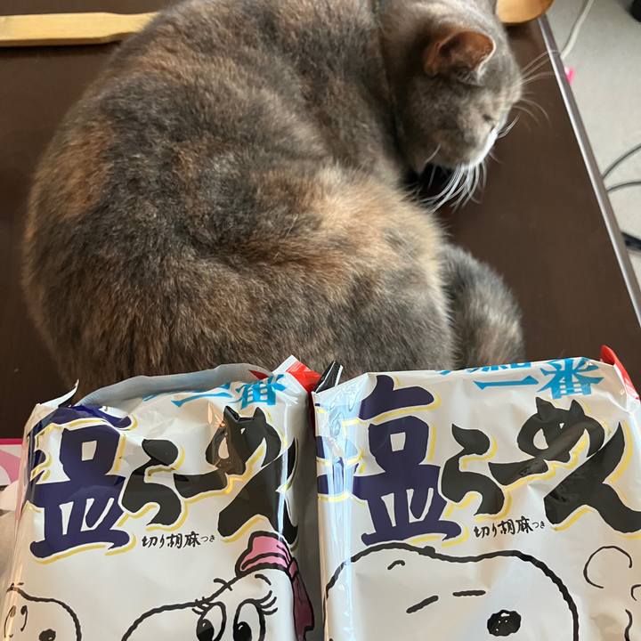 B86b24ce 9dc6 4efe bcc4 15cd3855ac50 1765077448240