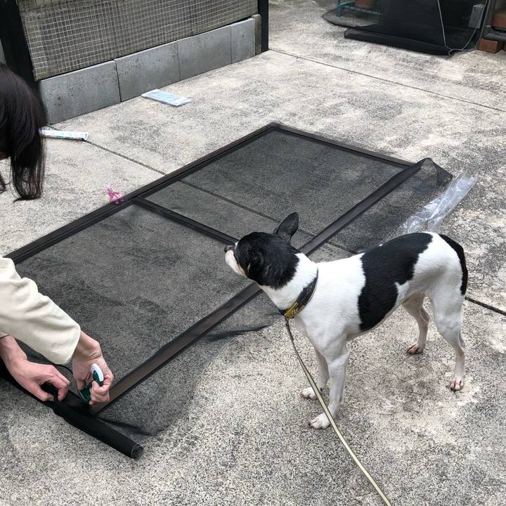 B86b48b5 0060 446d a288 1235704b0a7d 1556515620579