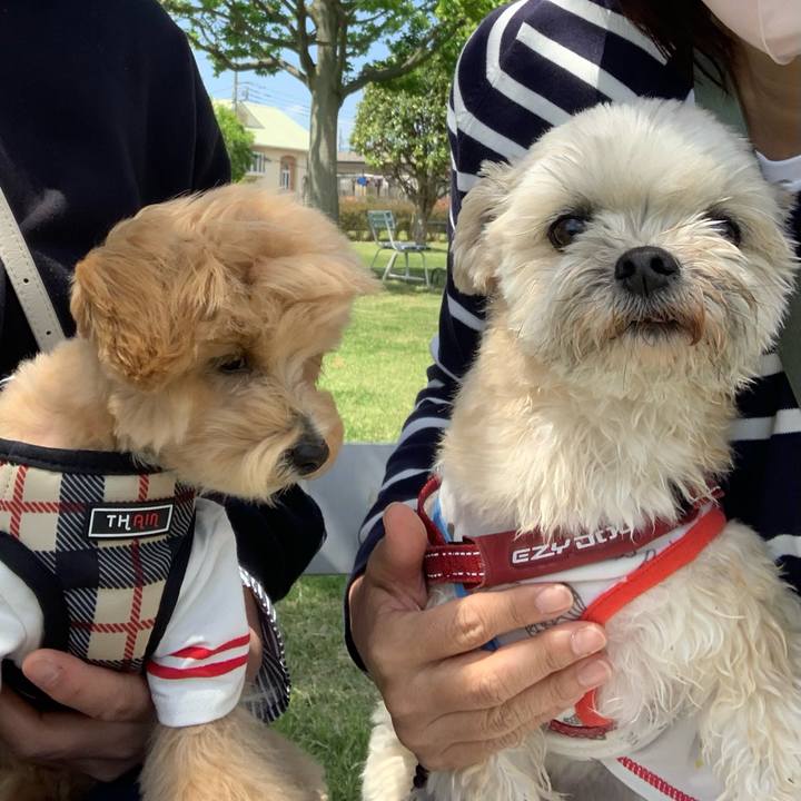 B86b5705 ffe6 484e 94c5 47cdff525d90 1681734203868