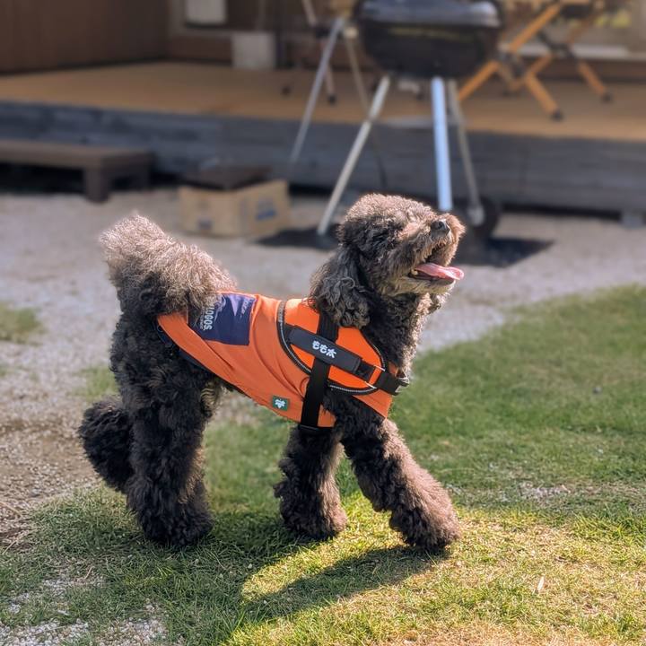 B86b811c 215c 4795 8688 c6a46c40341c 1758957363547