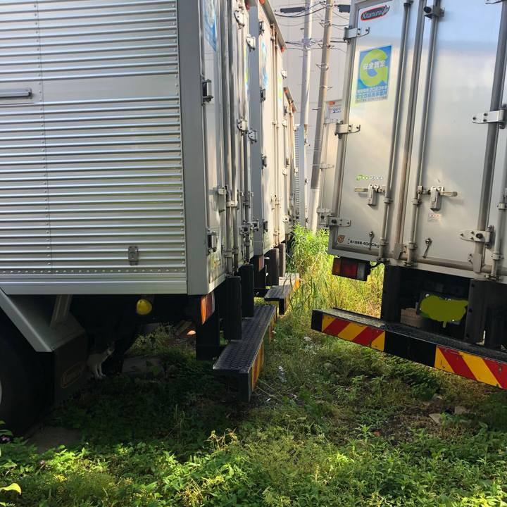 B86b8574 ab55 45a4 8e24 c0c37b6d9d04 1589722201761