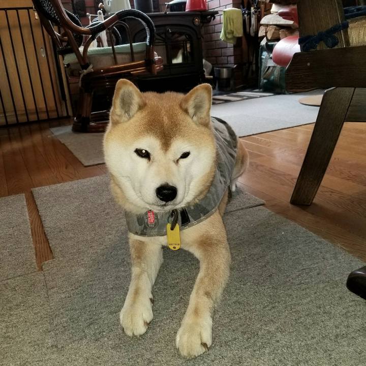 B86b8fbd 0249 46b1 8f82 e6bc0bf2b56d 1615331755454