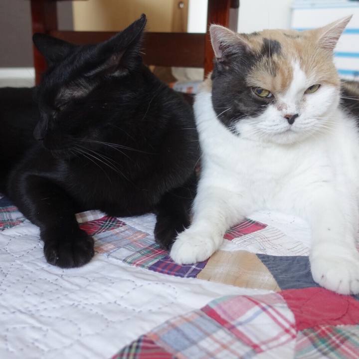 B86bc167 43a2 4fc9 9543 40938b796a2f 1525699059487