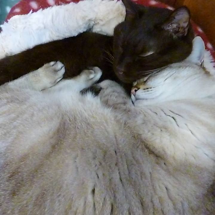 B86bc5d2 d160 4d7d 8ef5 40f5f474602e 1616304453893