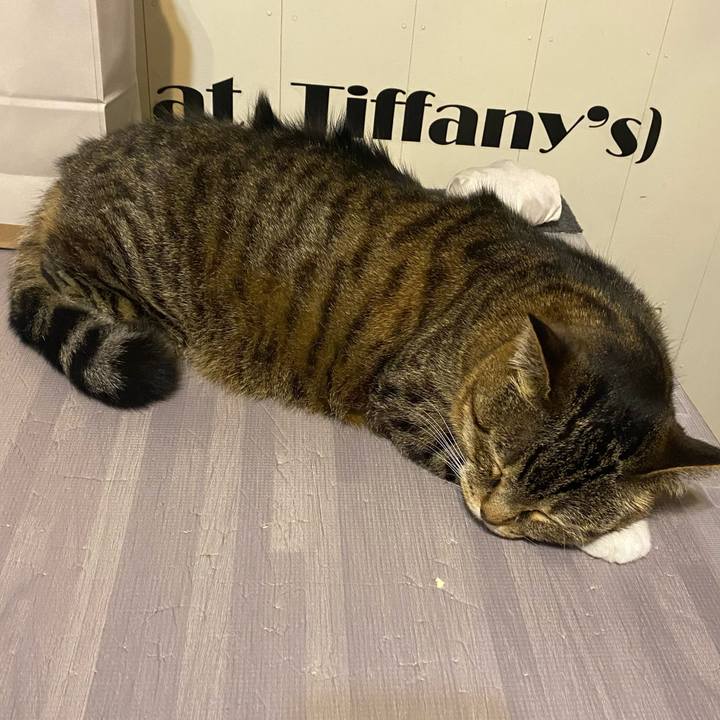 B86c5d08 760a 4b93 a965 f06e494c685b 1622719590906