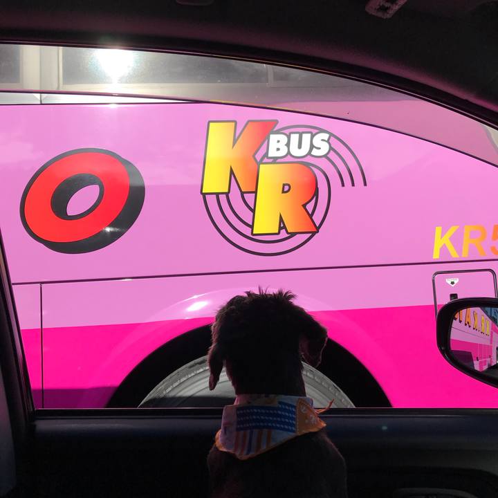 B86c7206 4ef6 4993 8cbc f0143b48cdff 1534118075580