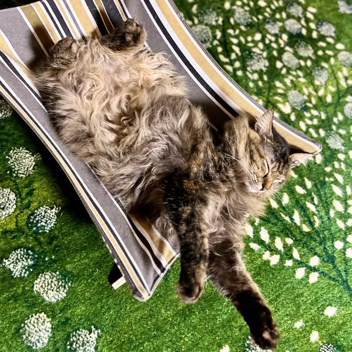 B86ca6ed af65 4551 9dc8 c7a0f6bb8e2d 1688645221302