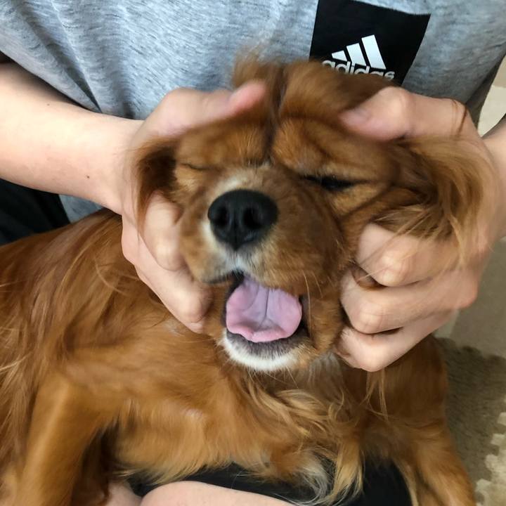 B86ca7a1 9ab2 40a9 b937 1a39a59e1884 1591827593744