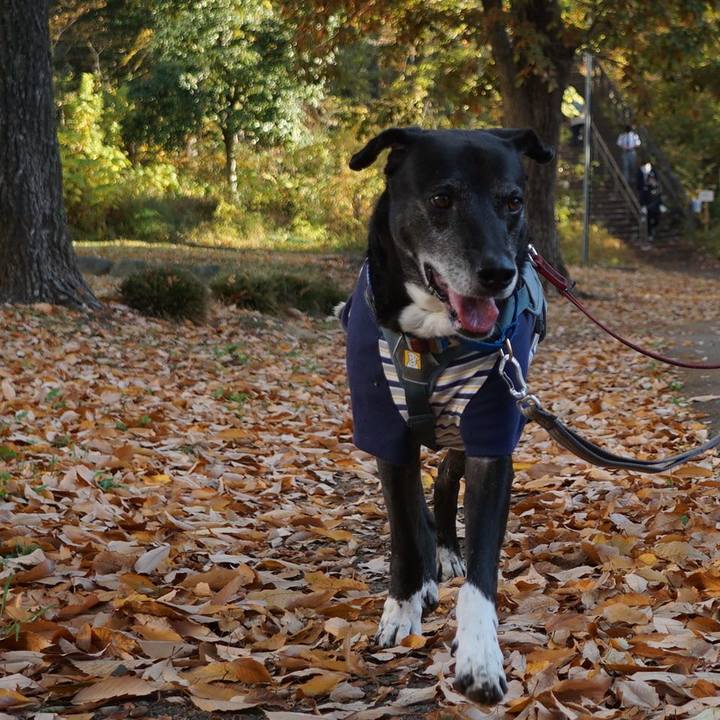 B86cf865 8a91 4ed3 9dee 2df9ebe319a9 1764290618966