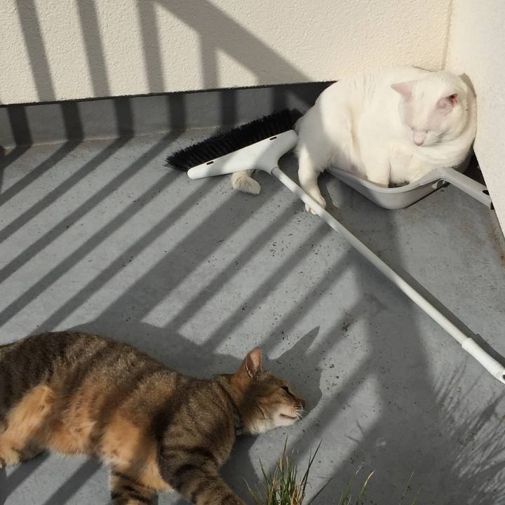 B86cfb35 ad96 4676 be09 c1ed6e46c9a1 1528842554031