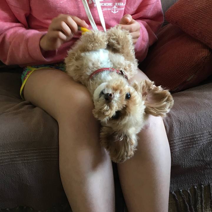 B86d0ee6 b720 4ef3 9139 be73b54acacd 1535207936651