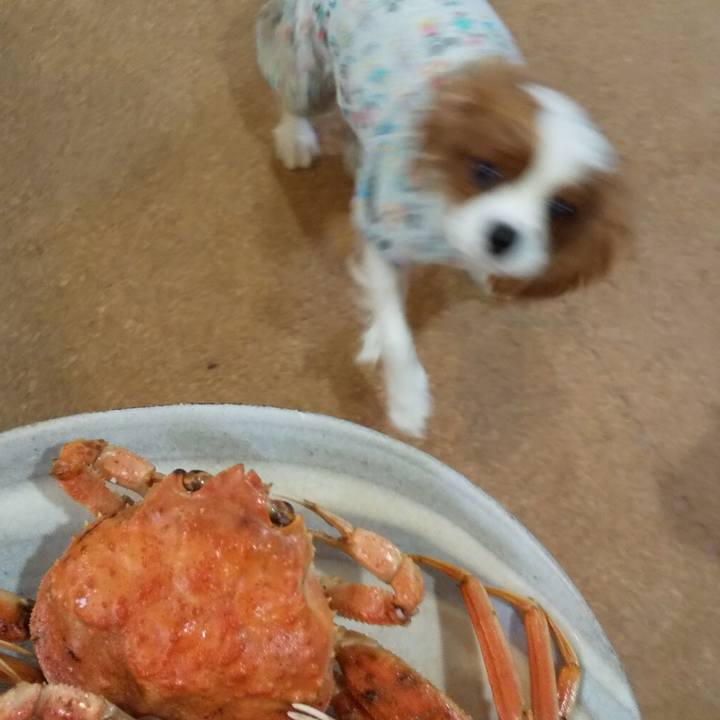 B86d346b ea12 4fa6 a443 684457951989 1580414821115