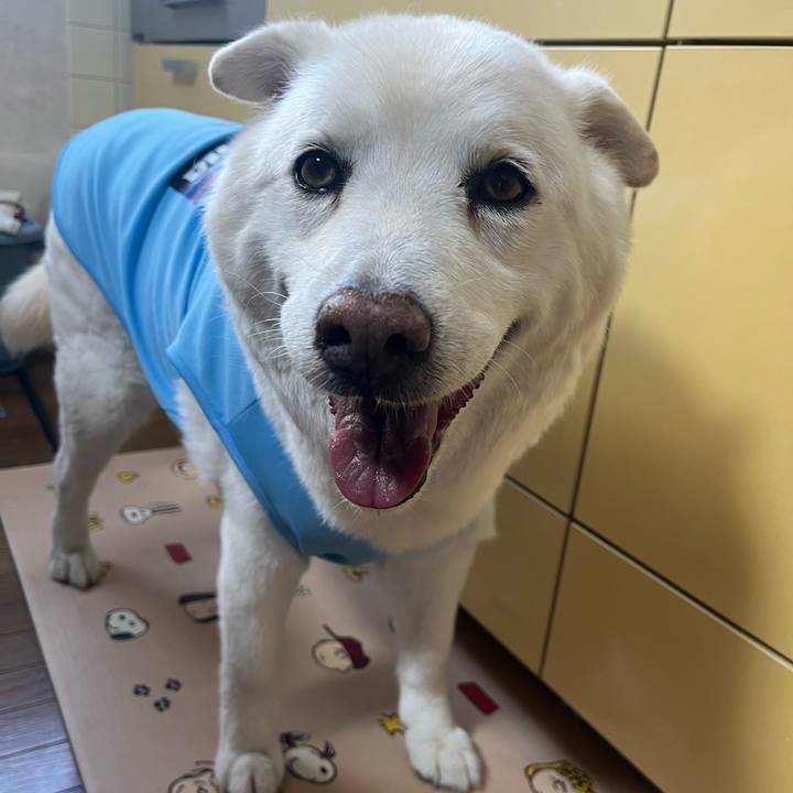 B86d5cee 6f2d 4584 83c4 2b41ead94955 1769581643154