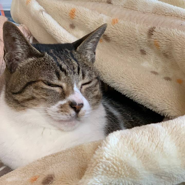 B86d6eca d677 4879 ad3f 7730a4e66d1d 1577491611682