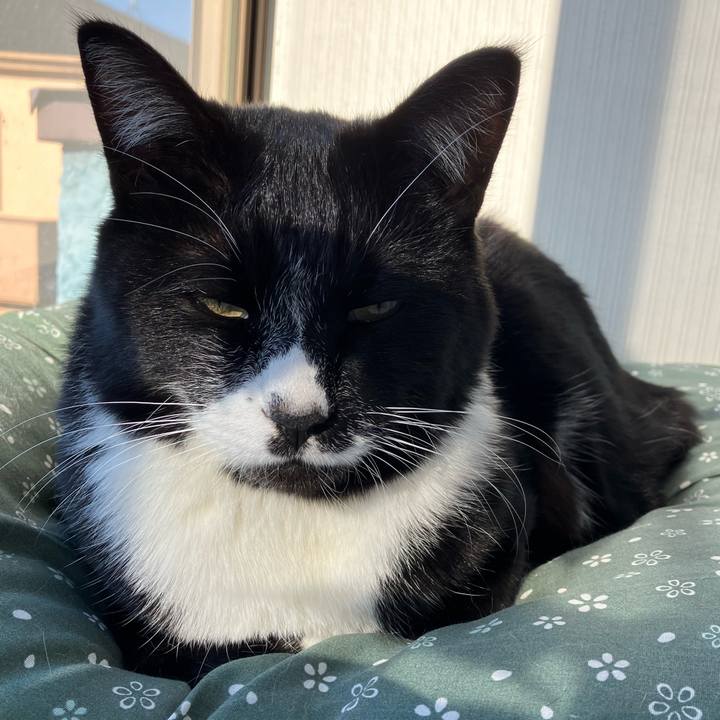 B86d9c1a fc91 469a 8a8b a26469fb1d24 1737521626955