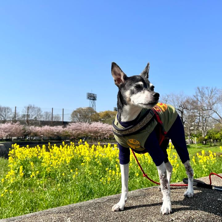 B86daf41 0756 4a88 aa49 5c3201df7288 1649470417986