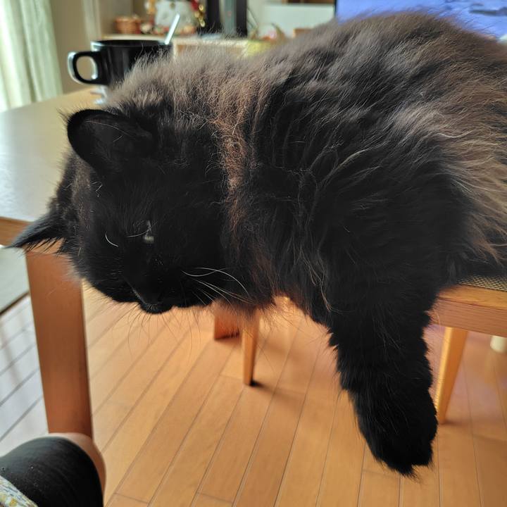 B86dbb1a 3f27 4244 8fb7 f5784fedb66a 1723761776629