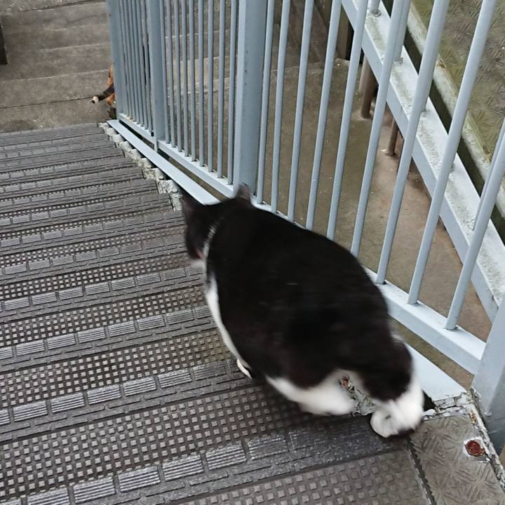 B86dc030 83e2 41cf 9dd0 bb268bf594db 1572234391529