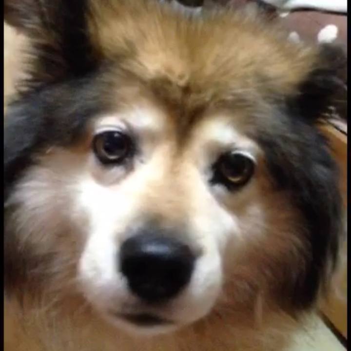 B86dcaae f419 465b 812a 1305faec4b07 1607815121679