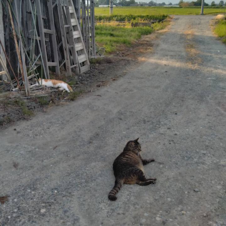 B86dd3c9 1f64 4cd5 aa58 1380d5ea5a02 1750327165065