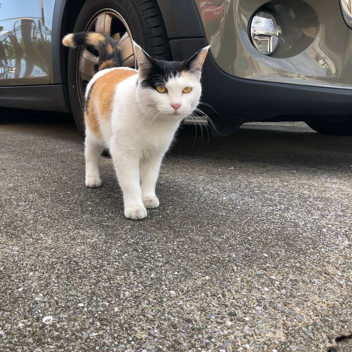 B86ddca5 ac4a 4159 b1d1 0ace1718715c 1605093594365