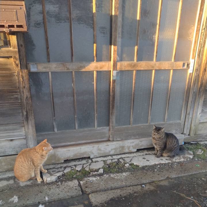 B86e9e5a 973d 40e6 97b5 3a9e239c3e89 1676536206415