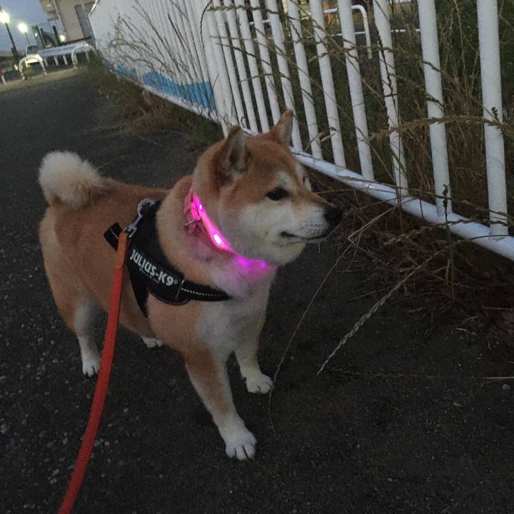 B86ea2d9 555b 4a28 aa21 3ba65f682488 1591526230234