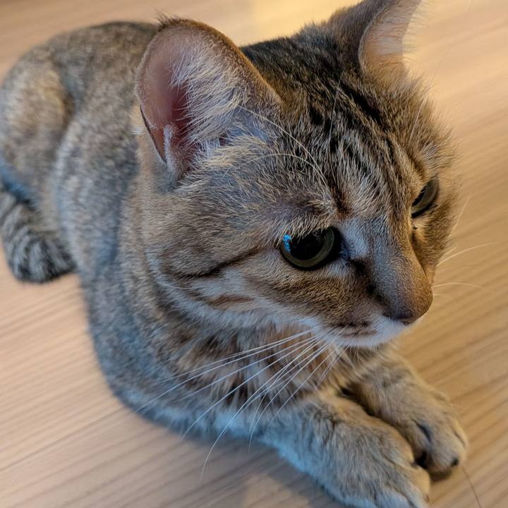 B86eb2e8 4bf6 4de6 96e4 8b7932a4bbdc 1772577748206