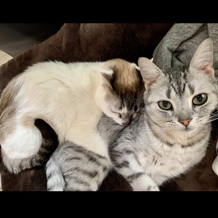 B86ec0ad 192c 441f 9247 a7b868ea4615 1619563936116