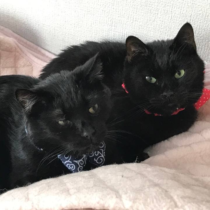 B86f49ba 101a 41c5 930a 8312f49dd953 1561248830097