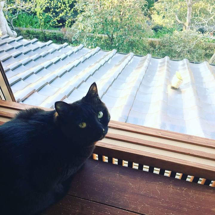 B86fae13 fef4 40e0 934d 6746856f7ba7 1554332015699