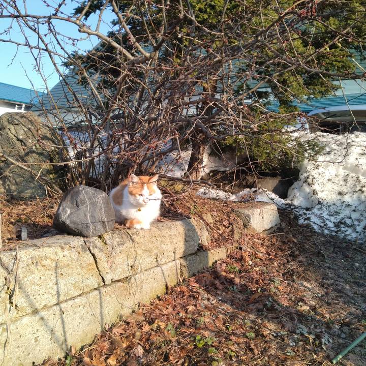 B86fc529 7573 412e b698 4f782dc02536 1742769258188