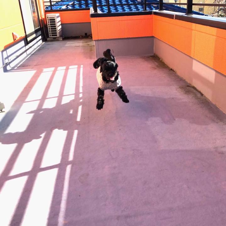 B86fedc1 2e5c 4296 8d88 23ae008b9175 1512907873099