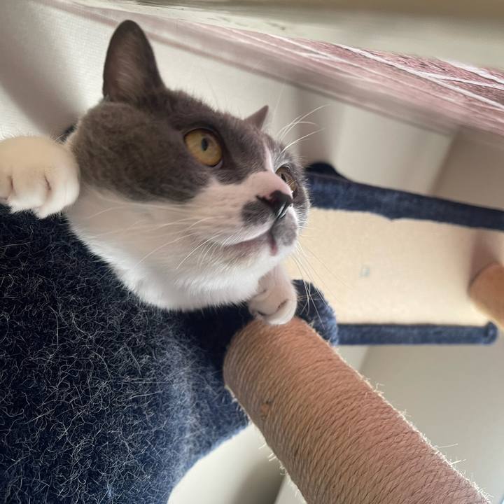 B870041c 1cfd 434f 9403 c746912109b2 1731885702462