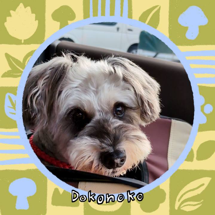 B870403b c780 4482 9bc1 cdb3c228c740 1761145159789