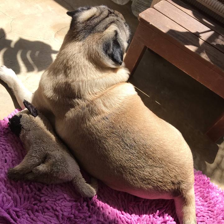 B8704113 ff4d 4153 96f5 a73b2e75ba3c 1588470383846