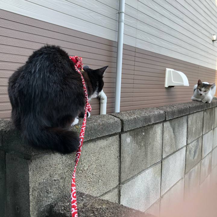 B870664d cd53 4bd0 b792 176a9edad6e7 1565235951670