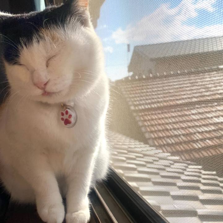 B8707120 f731 4cb4 aa07 7fcf222f0415 1645491918035