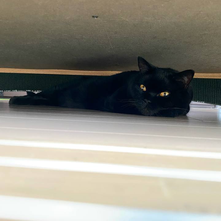 B8708b60 007d 4164 995c a70489a2fb9e 1719458818909