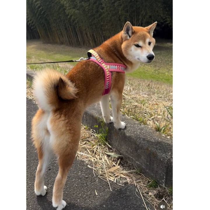 B8709e69 daa1 4290 9825 3d82414a1d18 1732271680736