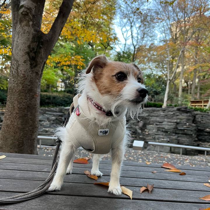 B870aff0 7da9 4ef0 be80 5f4ac9afa8b3 1701618937806