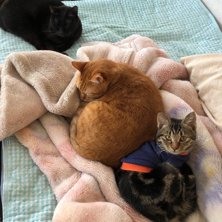 B870fcdf 4e89 4a59 b575 75453e44c7e0 1734831931745